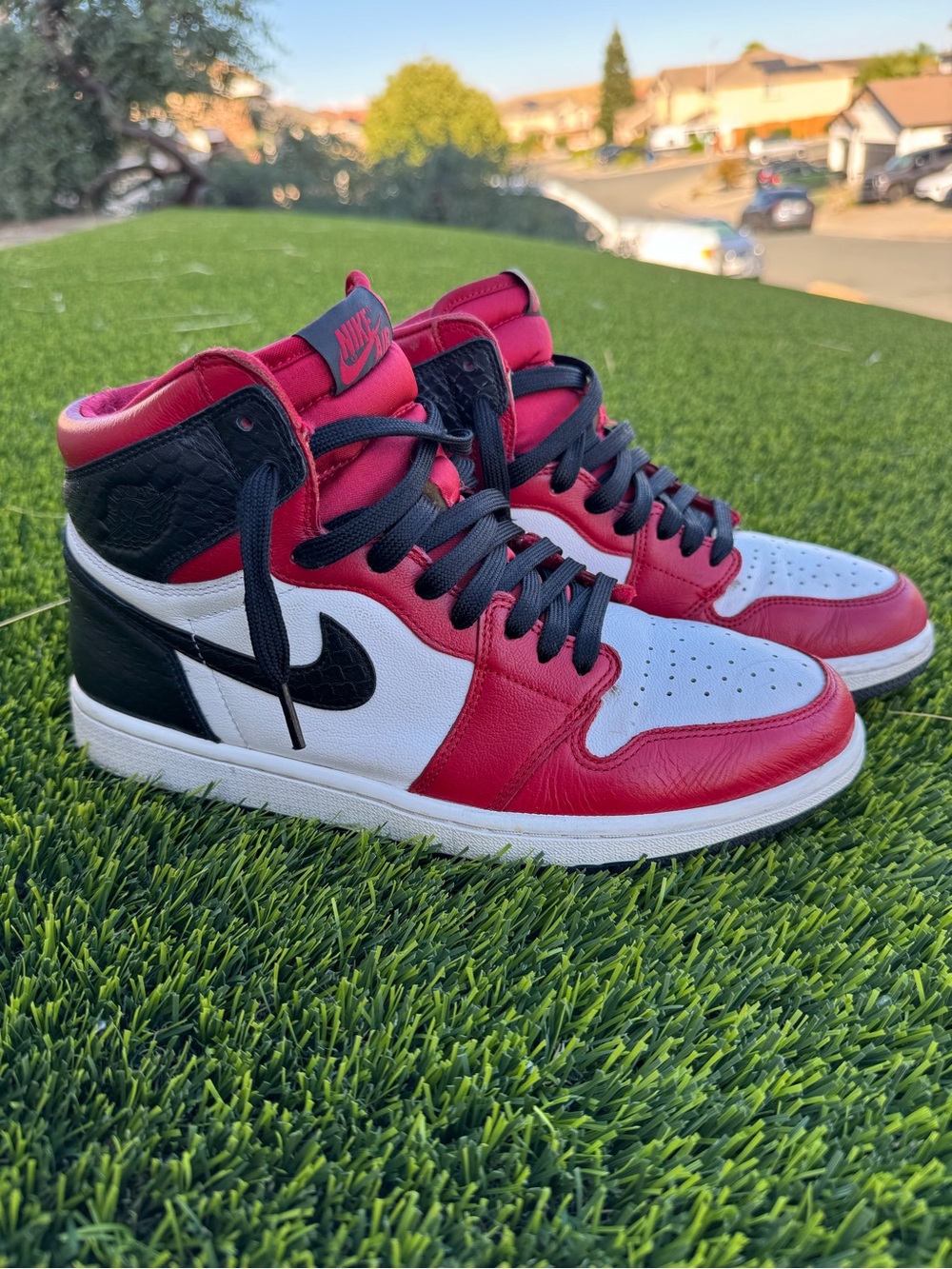 Jordan 1 High Satin Snake